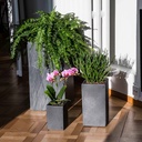 CLIMAQUA Planter Indoor PYLO 57 anthracite