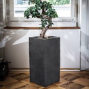 CLIMAQUA Planter Indoor PYLO 57 anthracite