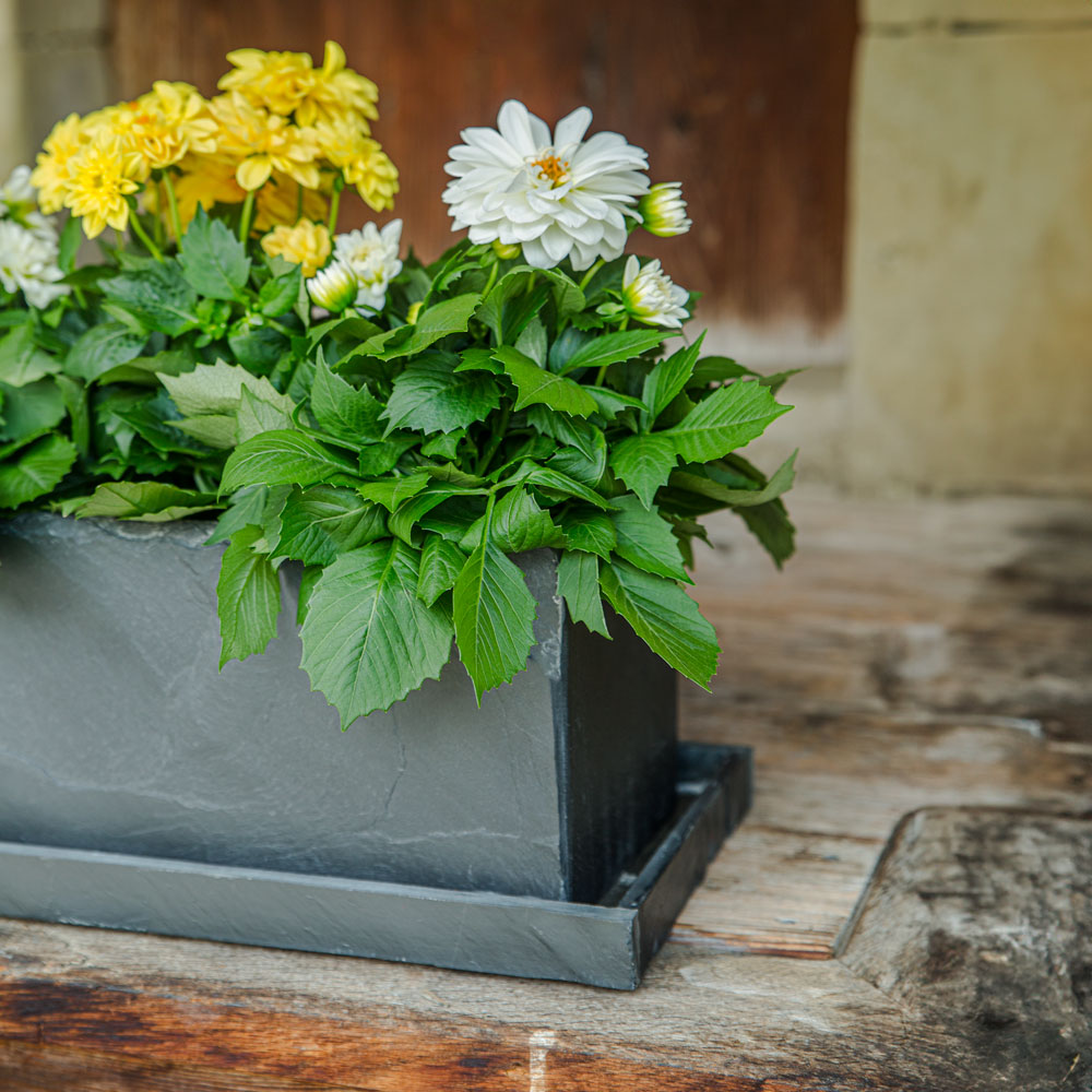 CLIMAQUA Planter Outdoor JARDI 50 anthracite