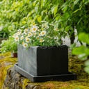 CLIMAQUA Planter Outdoor JARDI 50 anthracite