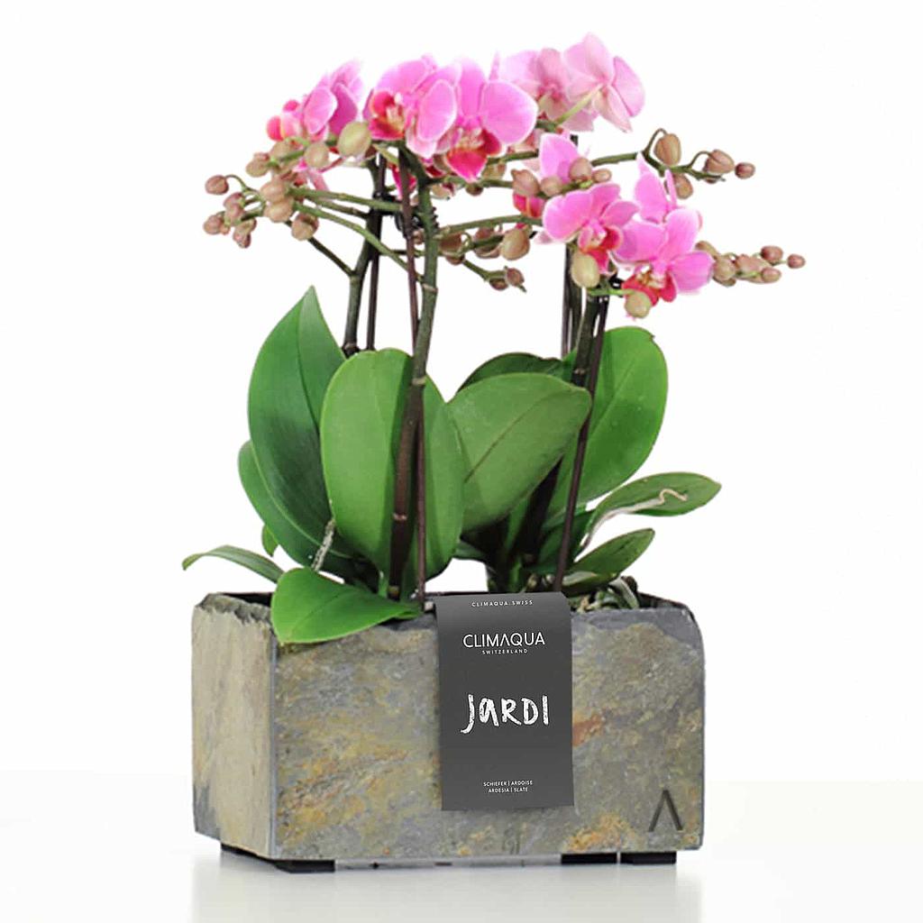 CLIMAQUA Planter Indoor JARDI 21 Rusty