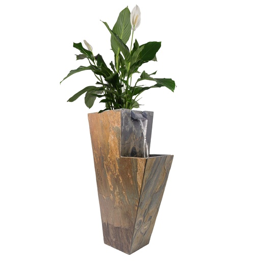 Water fountain with plants for indoors and outdoors