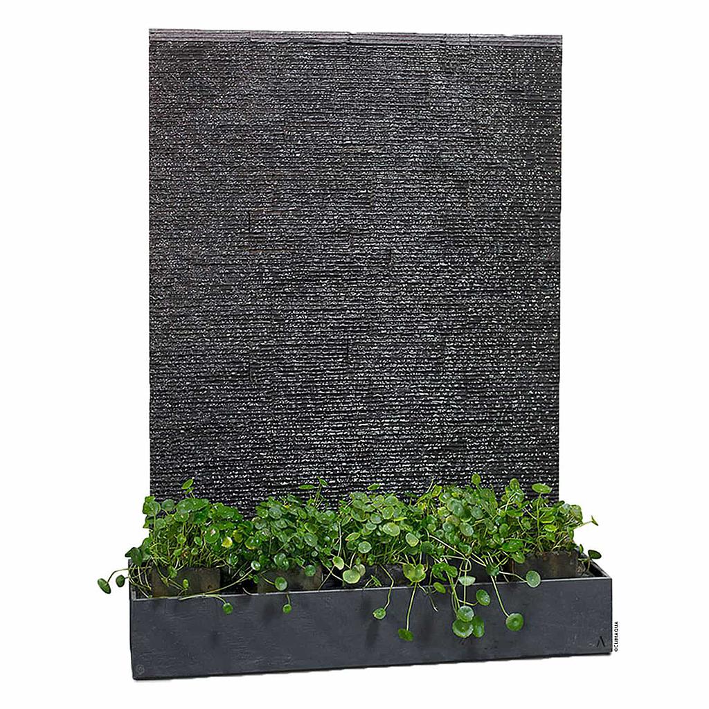 Water wall slate plant LIV WALL from CLIMAQUA